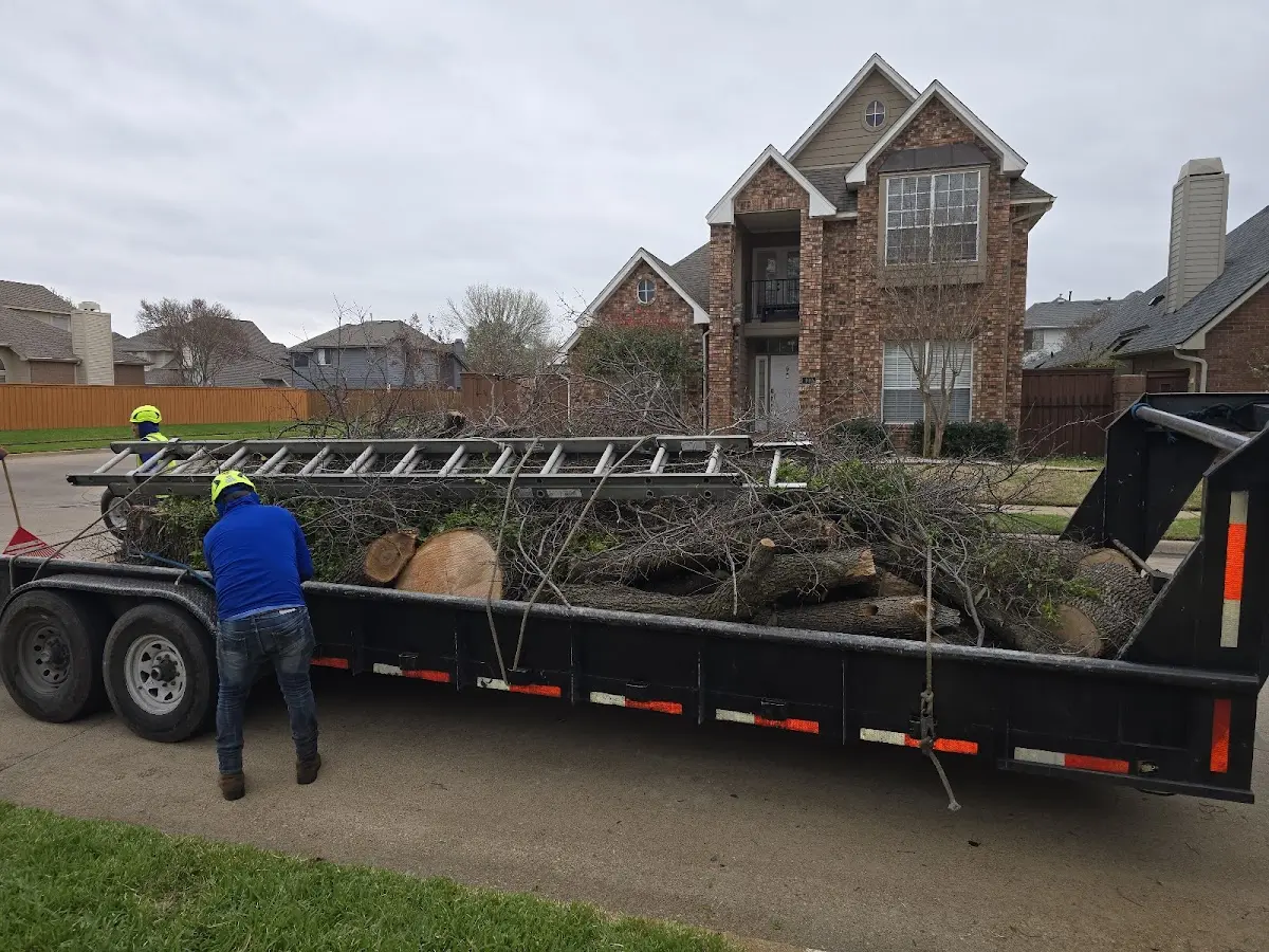 Expert Tree Fertilization with proper safety equipment in Braxton
